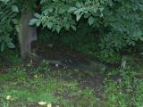 image number 6
